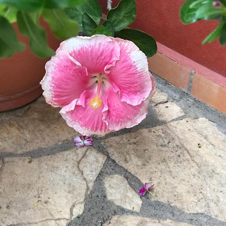 Hotel Buena Vista Copán Dış mekan fotoğraf