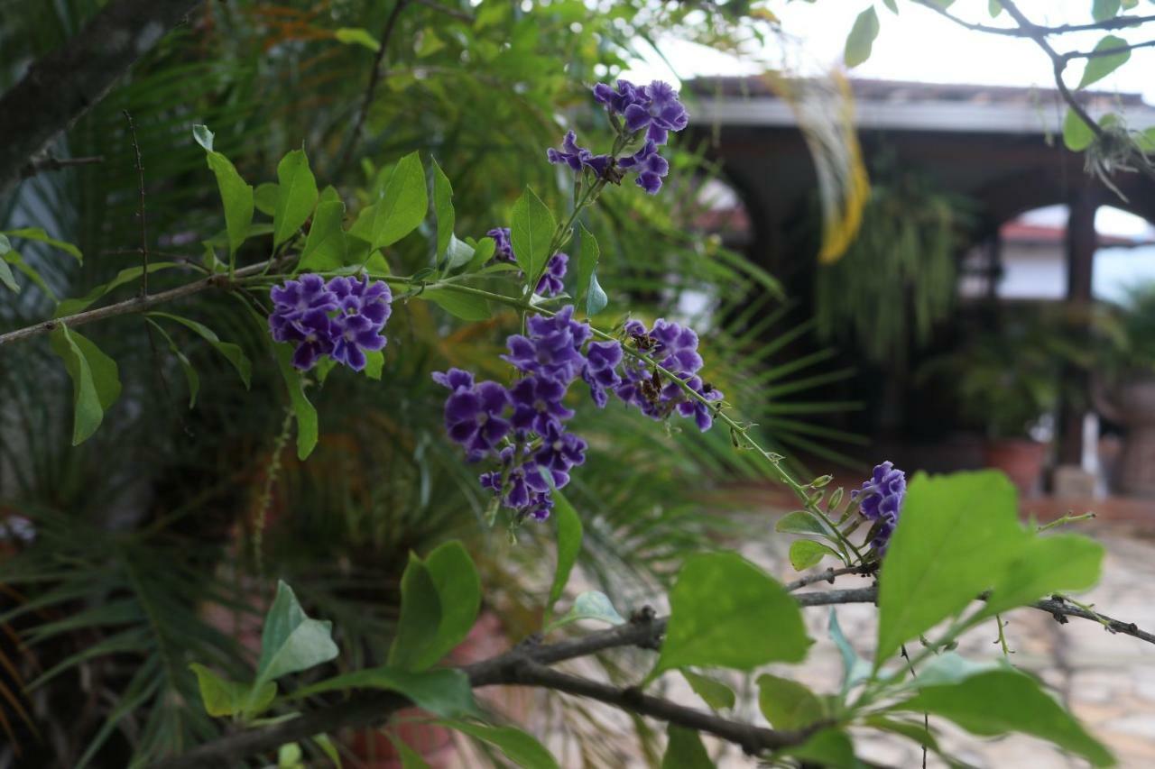 Hotel Buena Vista Copán Dış mekan fotoğraf